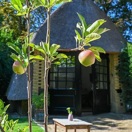 Kleine Buur Bed & Breakfast