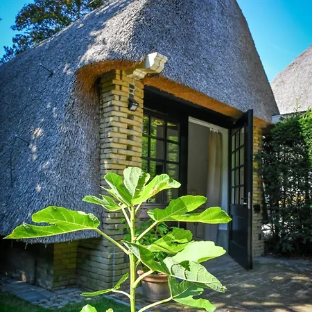 Bed & Breakfast Kleine Buur