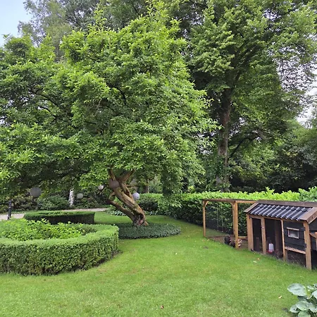 Kleine Buur