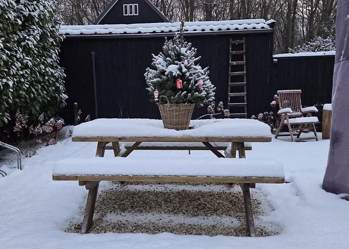 Bed & Breakfast Kleine Buur 3*