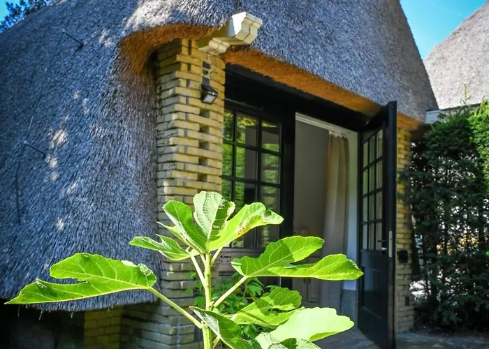 Bed & Breakfast Kleine Buur