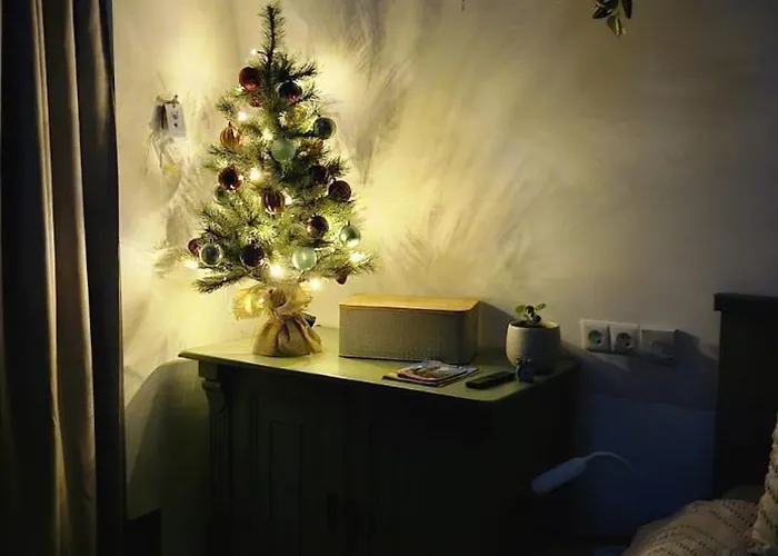 Kleine Buur לינה וארוחת בוקר Warnsveld