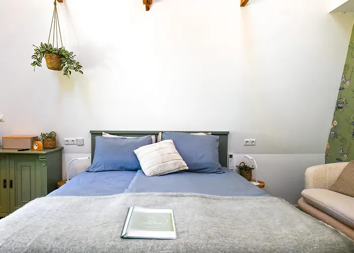 Kleine Buur Warnsveld